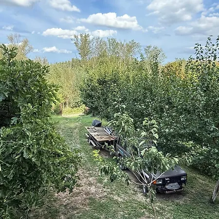 Сasa de vacaciones Duna Liget